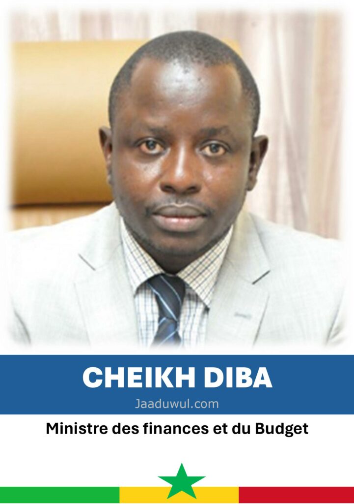 Cheikh Diba, Ministre des finances et du Budget