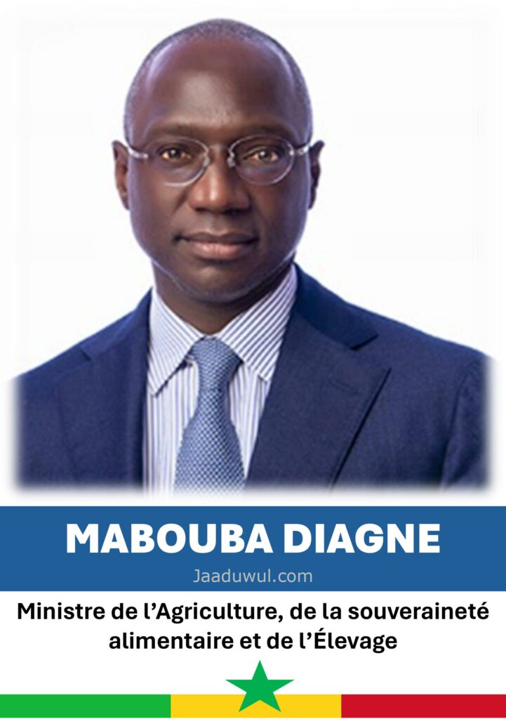 Mabouba Diagne, Ministre de l’Agriculture, de la souveraineté alimentaire et de l’Élevage